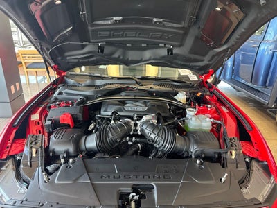 2026 Ford SHELBY SUPER SNAKE