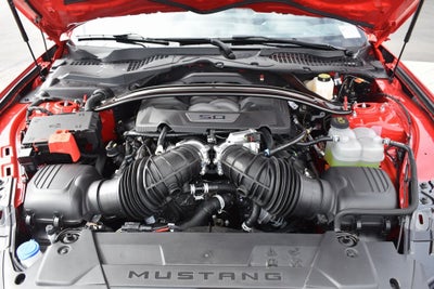 2025 Ford Mustang RTR