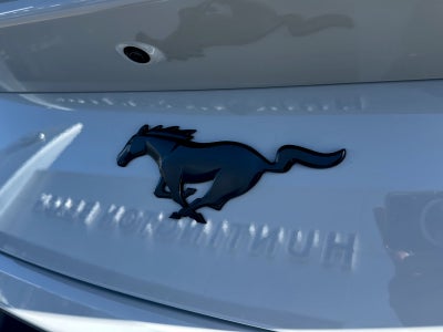 2026 Ford RTR EcoBoost