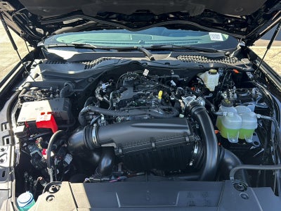 2026 Ford Mustang EcoBoost Fastback