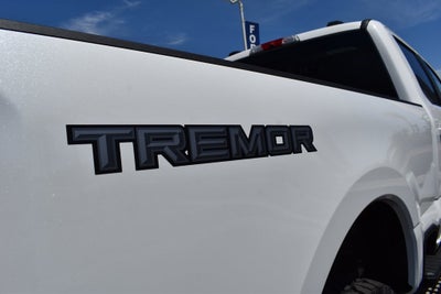 2025 Ford F-250SD Platinum